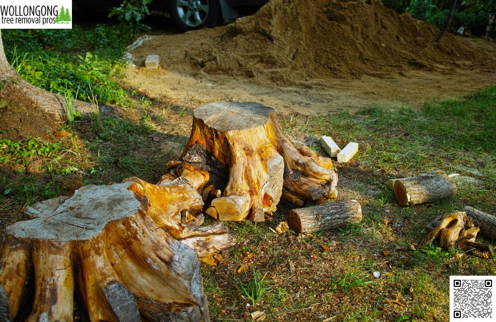 Can professional tree care increase home value?