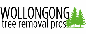 img/cropped-wollongong-tree-removal-pros-logo.png