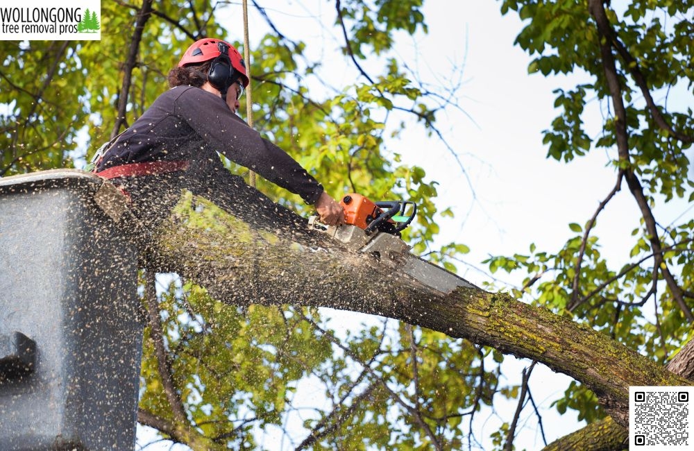 How does tree pruning improve health and safety in your garden?
