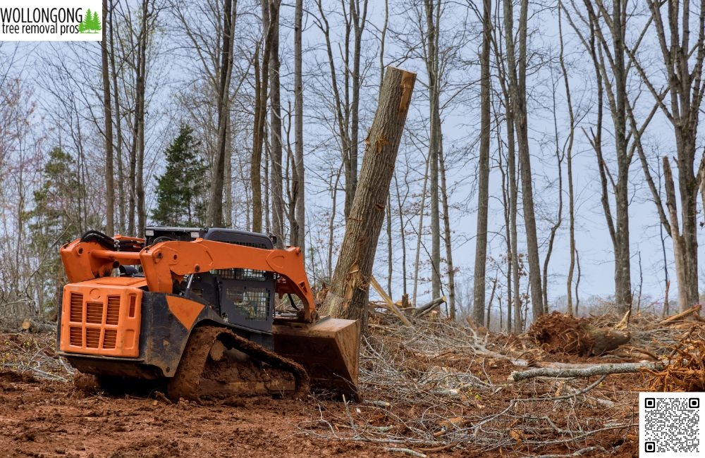 Why Tree Pruning Should Be Left to the Experts
