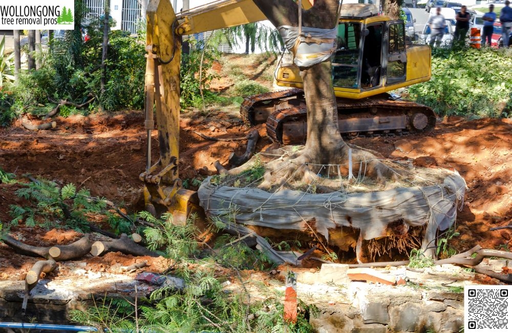 Why is insurance important for tree service providers?