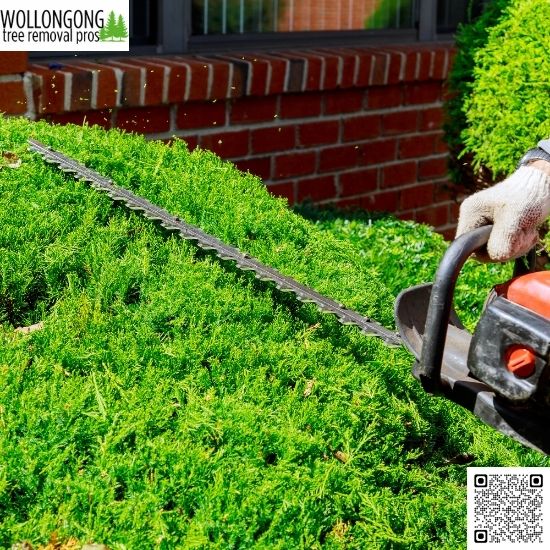 What factors influence tree removal pricing?