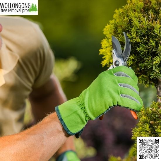 How do trees near power cables become safety hazards?