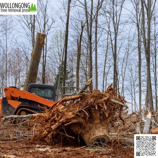 How can real estate agents benefit from tree care services?