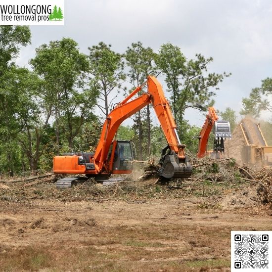 How can tree maintenance reduce fire hazards?