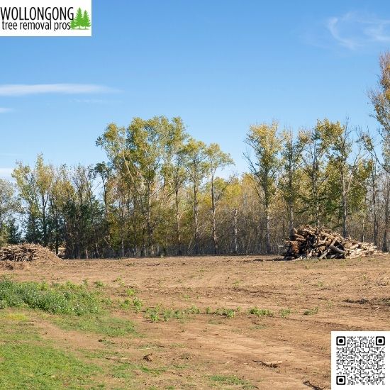 Clearing Land for New Construction