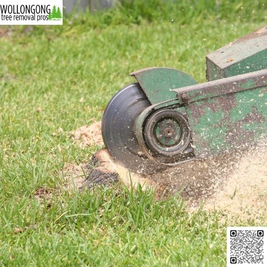 Why should homeowners avoid doing their own tree removal?