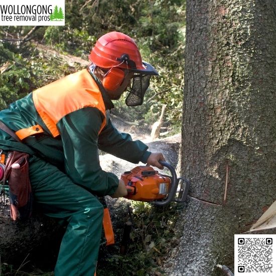 What should you do before tree specialists arrive?