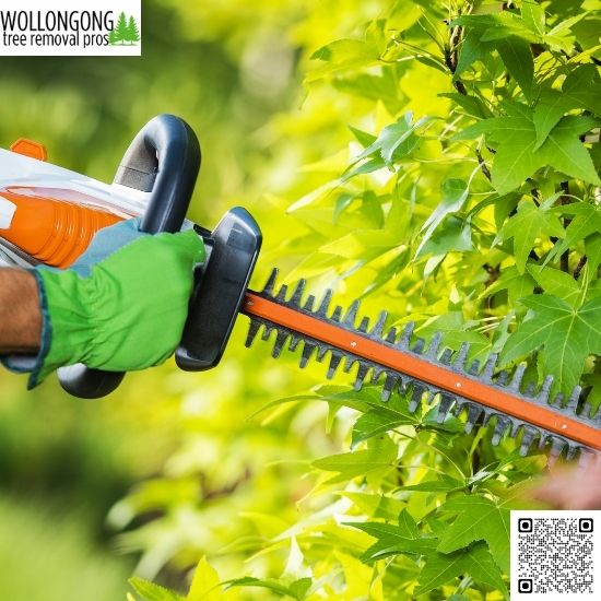 Preparing for Bushfire Season With Tree Services