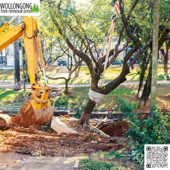 Top Tree Care Tools Used by Professionals