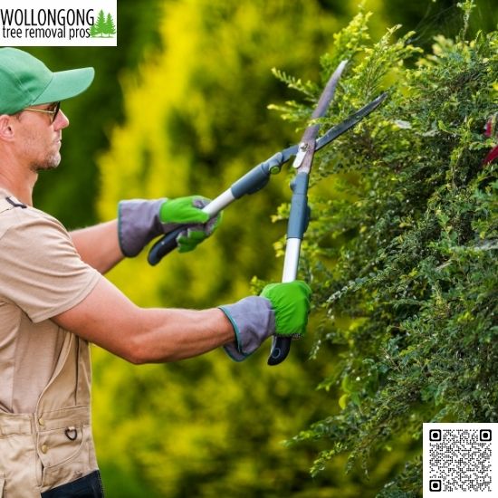 Tree Trimming Tips for Seasonal Growth